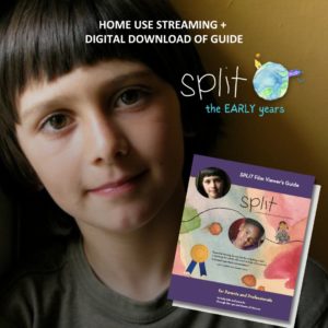Product: Home streaming plus digital download of guide