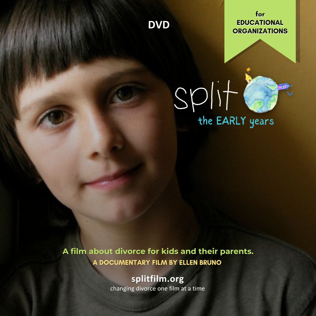 SPLIT FILM for educational organizations DVD