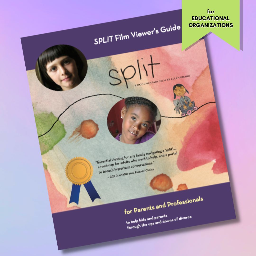 SPLIT FILM for educational organizations guide