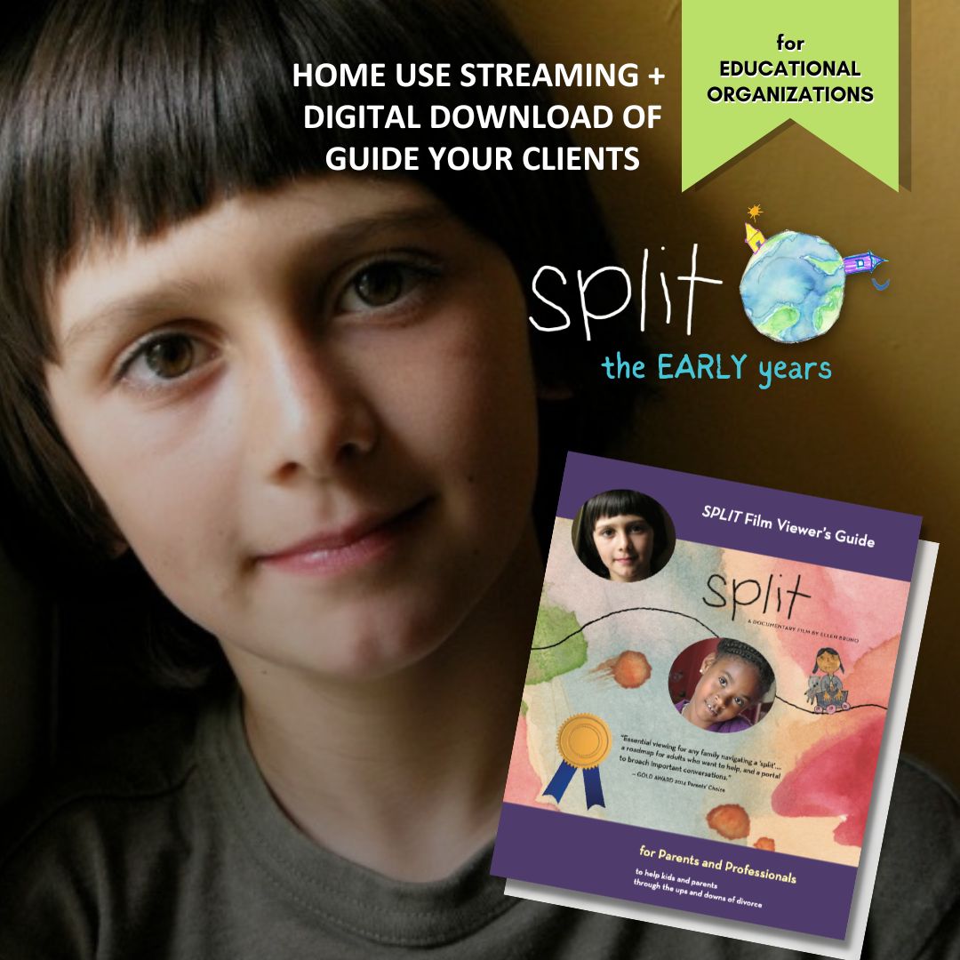 SPLIT FILM for educational organizations streaming