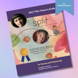 The SPLIT Film Guide - for professionals